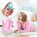 šuniukas5 šuniukas5