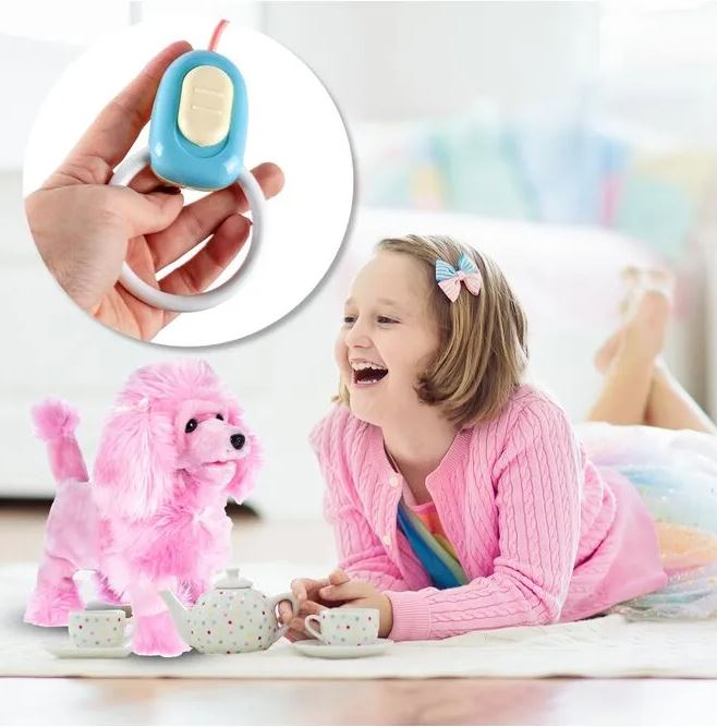 šuniukas5 šuniukas5