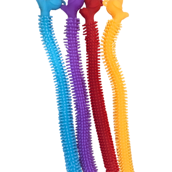 IMG_4014-Photoroom IMG_4014-Photoroom