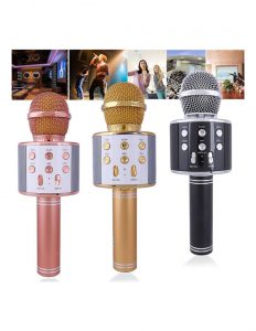 Mikrofonas karaoke su įrašymo funkcija