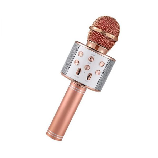 Mikrofonas karaoke su įrašymo funkcija