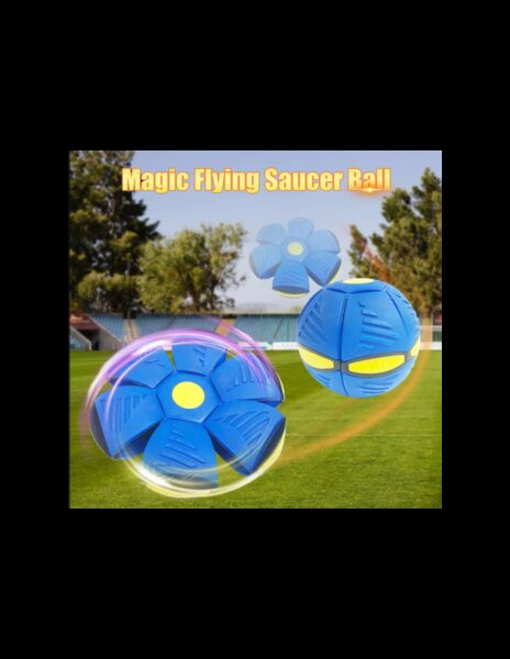 Kamuolys diskas Kamuolys diskas