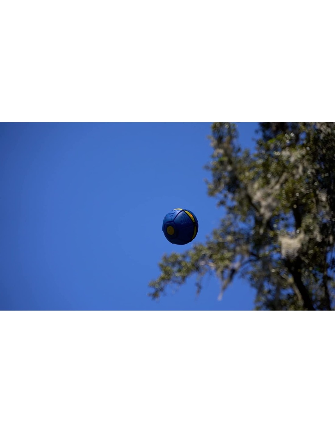 Flyball kamuolys diskas šviečiantis Flyball kamuolys diskas šviečiantis