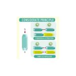 Magnetinis konstruktorius 66 detalės Magnetinis konstruktorius 66 detalės