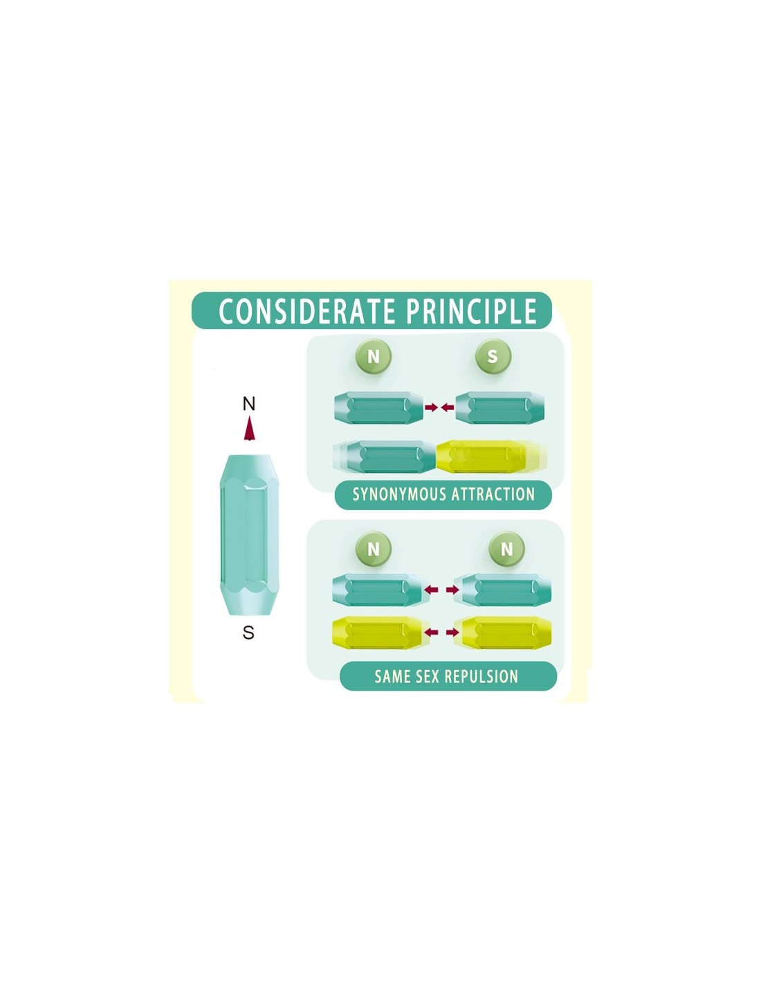 Magnetinis konstruktorius 66 detalės Magnetinis konstruktorius 66 detalės