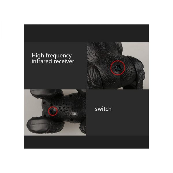 Infrared RC Gorilla su valdymo pultu, šviesos ir garso efektai Infrared RC Gorilla su valdymo pultu, šviesos ir garso efektai