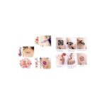 Laikinų tatuiruočių rinkinys su blizgučiais ir priedais Laikinų tatuiruočių rinkinys su blizgučiais ir priedais