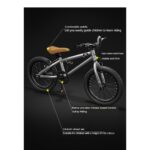 BMX tipo dviratis 20 colių BMX tipo dviratis 20 colių