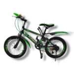 Dviratis 18" colių su 7 pavaromis, žalia spalva