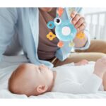 barskutis-krabas-3 barskutis-krabas-3