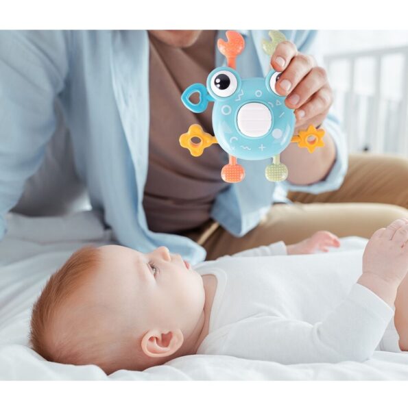 barskutis-krabas-3 barskutis-krabas-3