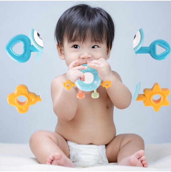 barskutis-krabas-5 barskutis-krabas-5