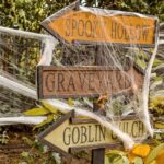 helovyno-dekoracija-tinklas-baltas-60-gramu-2-d190e-uzsakyti_reference helovyno-dekoracija-tinklas-baltas-60-gramu-2-d190e-uzsakyti_reference