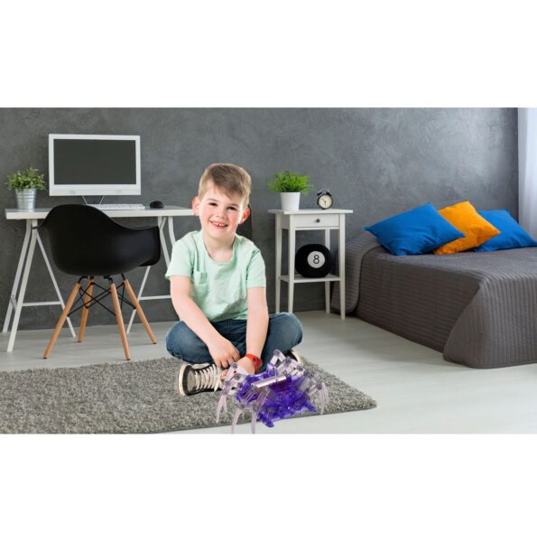 konstruktorius-voras-5 konstruktorius-voras-5