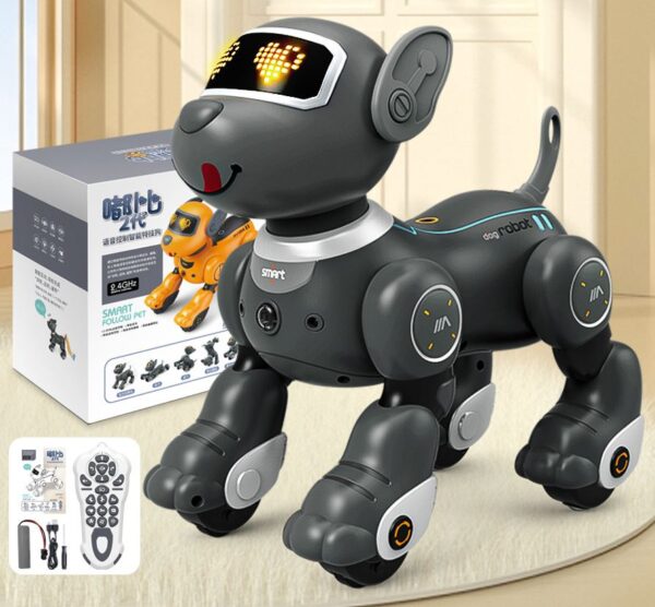 robotas šuo5 robotas šuo5