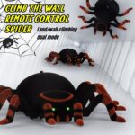 voras-rc-2 voras-rc-2