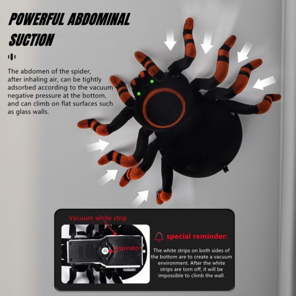 voras-rc-4 voras-rc-4