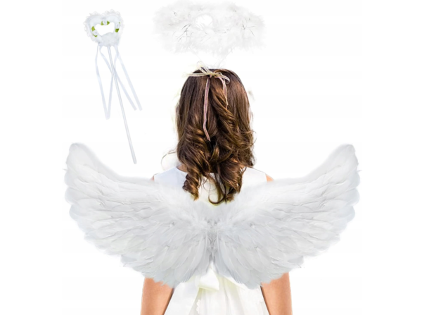 angelo-sparnai-1.jpg