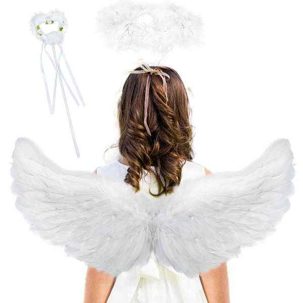 angelo-sparnai-1.jpg