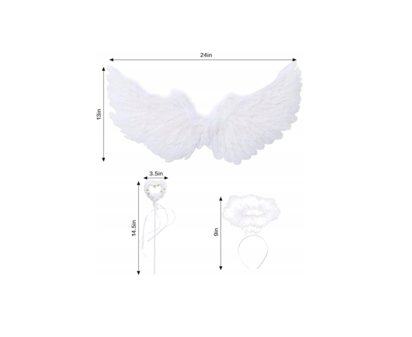 angelo-sparnai-2.jpg angelo-sparnai-2.jpg