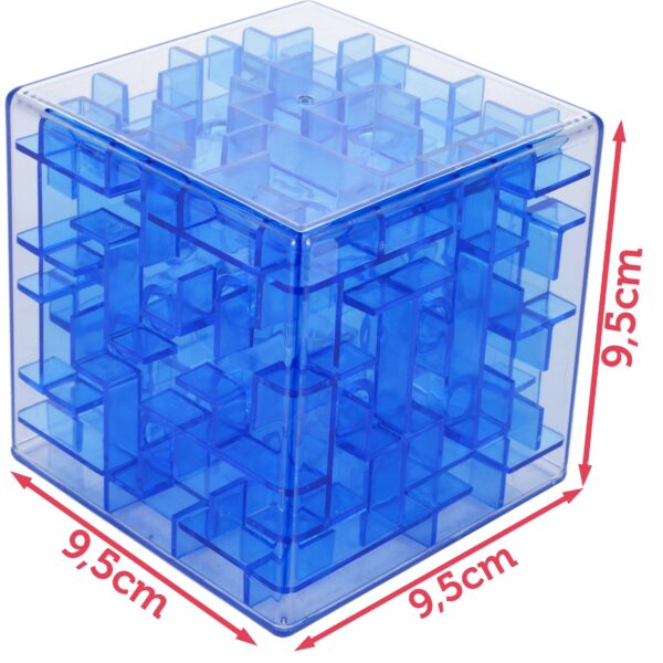 labirintas-1 labirintas-1