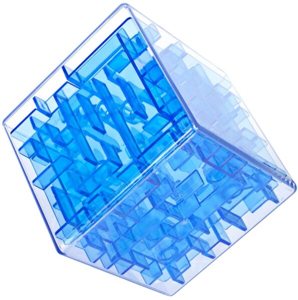 labirintas-5 labirintas-5