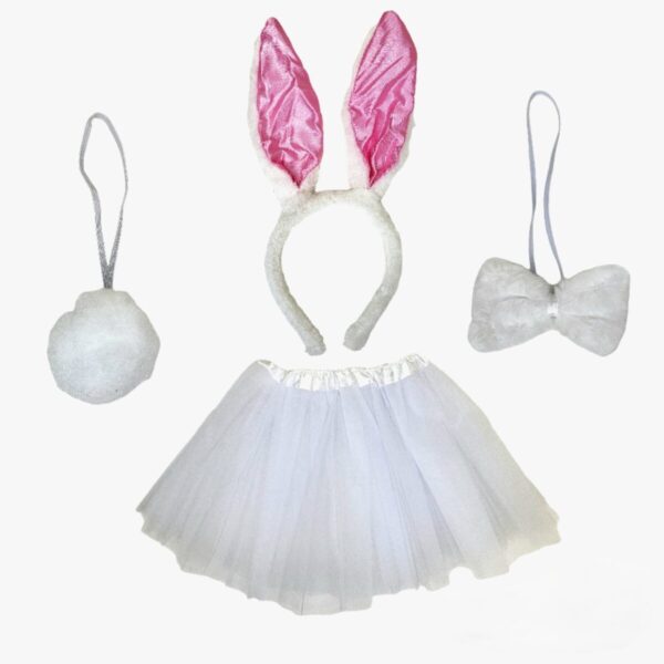 IMG_2440 (1) IMG_2440 (1)