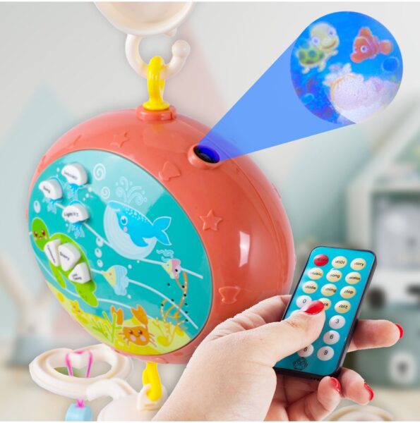 karusele-kudikiui-16 karusele-kudikiui-16