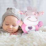 pliusinis-barskutis-3 pliusinis-barskutis-3