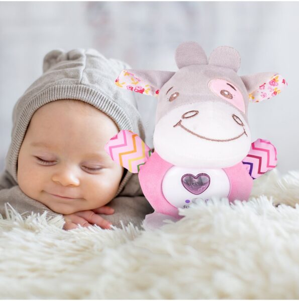 pliusinis-barskutis-3 pliusinis-barskutis-3