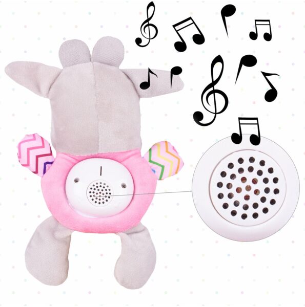 pliusinis-barskutis-4 pliusinis-barskutis-4