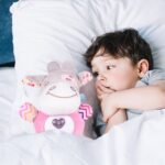 pliusinis-barskutis-5 pliusinis-barskutis-5