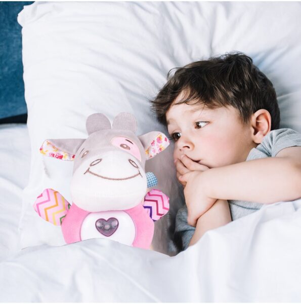 pliusinis-barskutis-5 pliusinis-barskutis-5