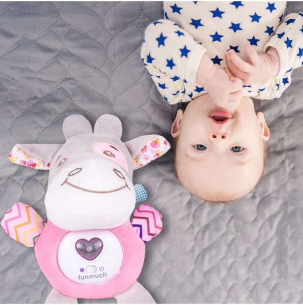 pliusinis-barskutis-9 pliusinis-barskutis-9