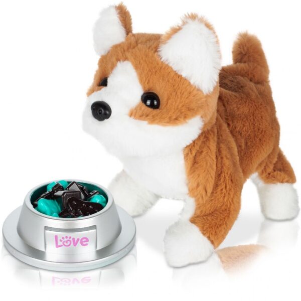 suniukas-kirpykla-1 suniukas-kirpykla-1