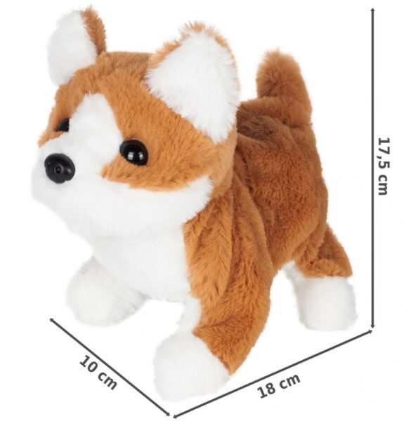 suniukas-kirpykla-2 suniukas-kirpykla-2