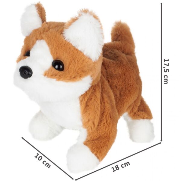 suniukas-kirpykla-2 suniukas-kirpykla-2