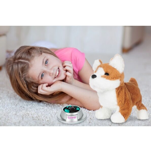 suniukas-kirpykla-3 suniukas-kirpykla-3