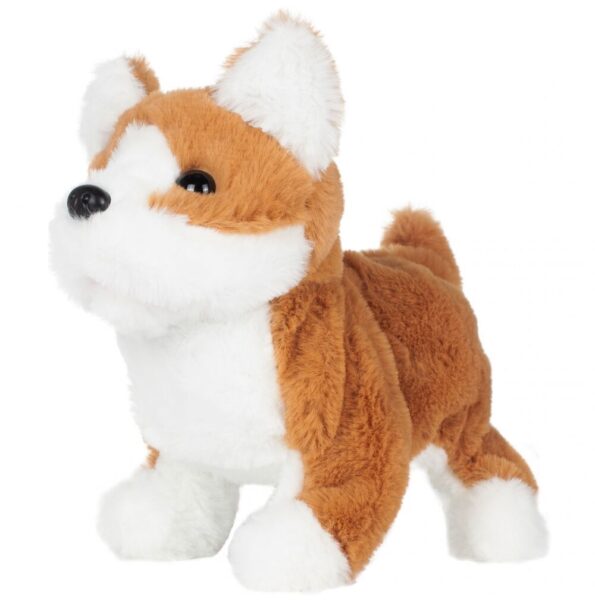 suniukas-kirpykla-5 suniukas-kirpykla-5