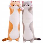 katinas-pagalve-1 katinas-pagalve-1