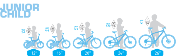 large.2c89a555619118be78aa5a3fcd162bea (1) large.2c89a555619118be78aa5a3fcd162bea (1)