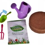 fėjos sodas6 fėjos sodas6