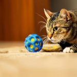 Aukštai-šokinėjantis-guminis-kamuolys-Bouncy-1 Aukštai-šokinėjantis-guminis-kamuolys-Bouncy-1