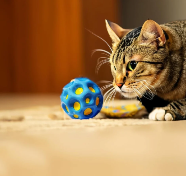 Aukštai-šokinėjantis-guminis-kamuolys-Bouncy-1 Aukštai-šokinėjantis-guminis-kamuolys-Bouncy-1