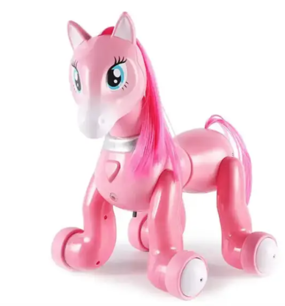 Interaktyvus-robotas-Ponis-su-pultu-1 Interaktyvus-robotas-Ponis-su-pultu-1