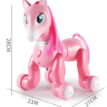 Interaktyvus-robotas-Ponis-su-pultu-2