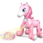 Interaktyvus-robotas-Ponis-su-pultu-5