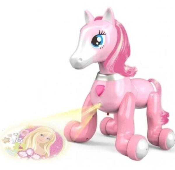 Interaktyvus-robotas-Ponis-su-pultu-5