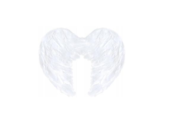 angelo-sparnai-su-lankeliu-helovinui-balti-1 angelo-sparnai-su-lankeliu-helovinui-balti-1