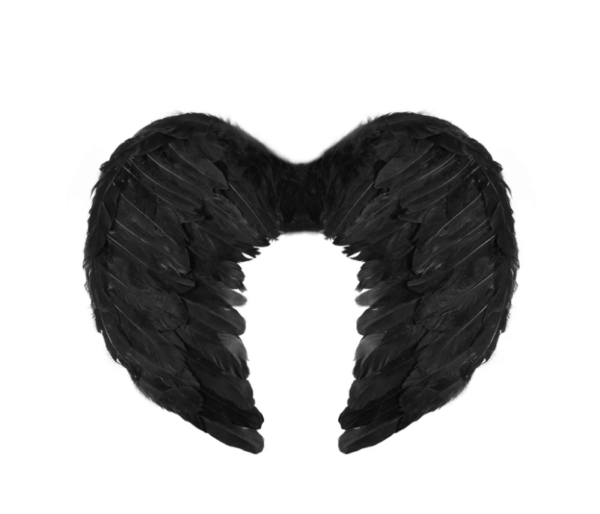 angelo-sparnai-su-lankeliu-helovinui-juodi angelo-sparnai-su-lankeliu-helovinui-juodi